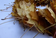 How to: autumn door wreath
