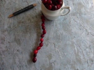 DIY_cranberries
