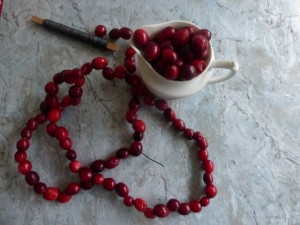 DIY_cranberries