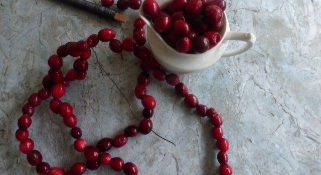 DIY: cranberry bird feeder