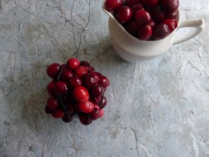 Cranberries 4(640x480)