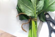 Running my business through the summer holidays