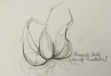 Cooking from the garden