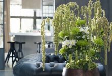 Do you hate carnations and chrysanthemums?